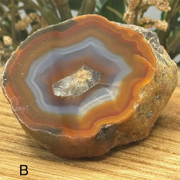 Coyamito Agate from Chihuahua Mexico - Picture 2 of 8